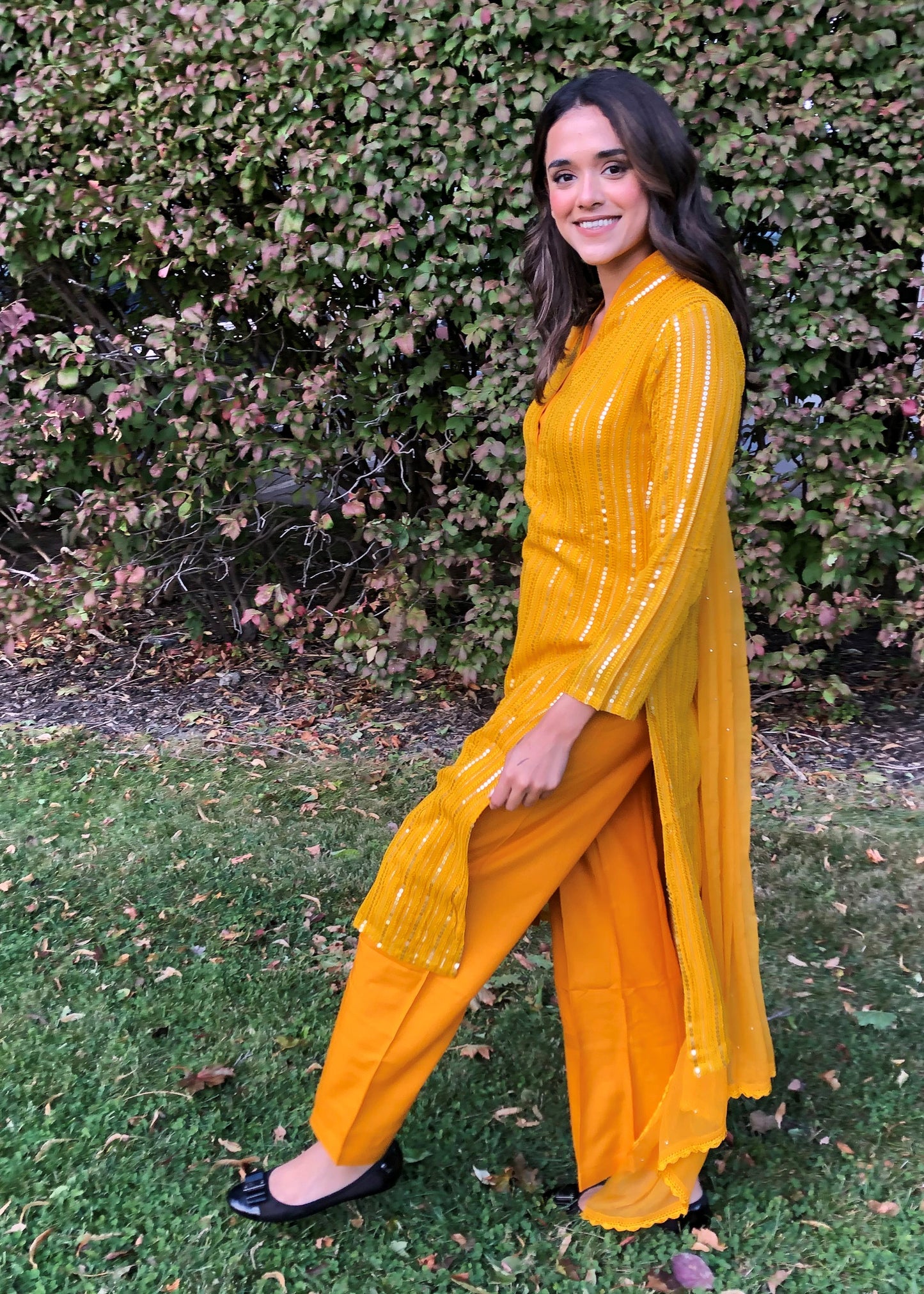 Georgette Sequins 3 piece set
