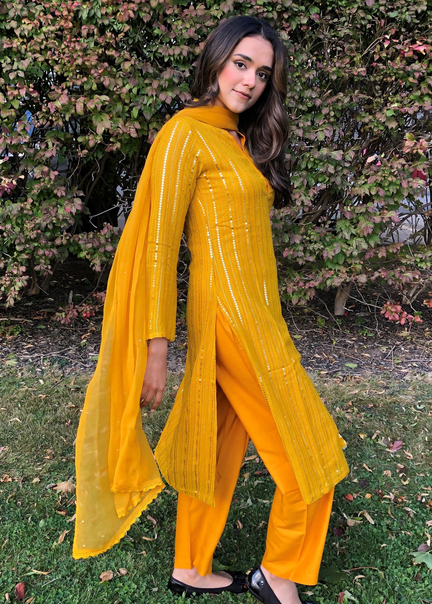 Georgette Sequins 3 piece set