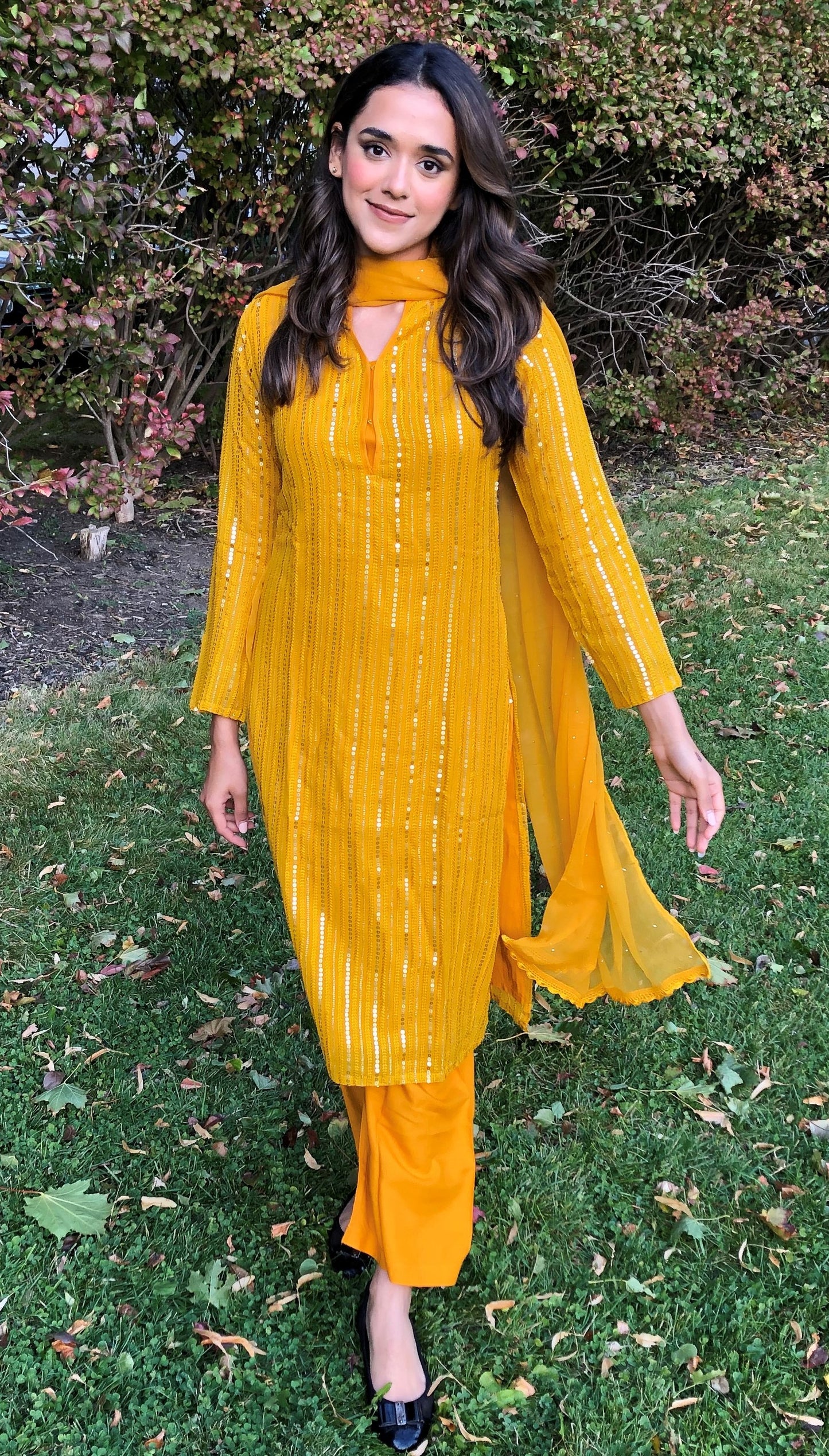 Georgette Sequins 3 piece set