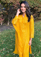 Georgette Sequins 3 piece set